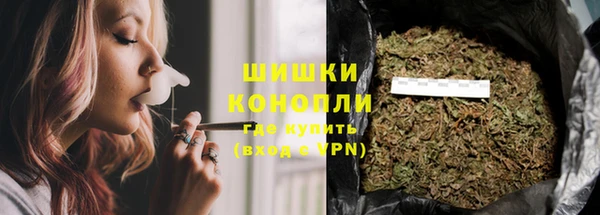 первитин Богданович