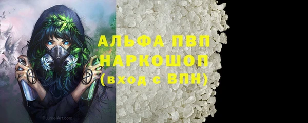 первитин Богданович
