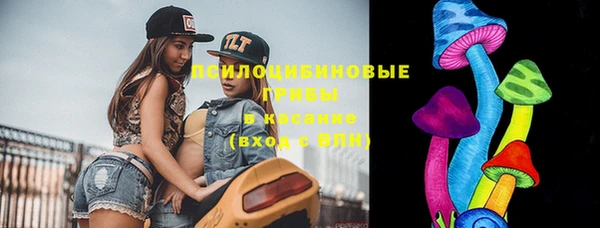 mix Богородск