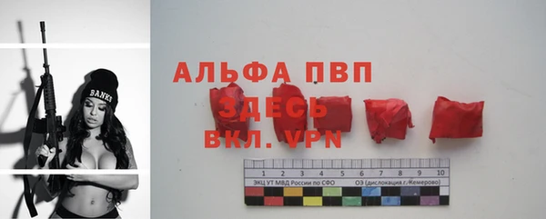 первитин Богданович