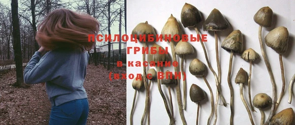 первитин Богданович