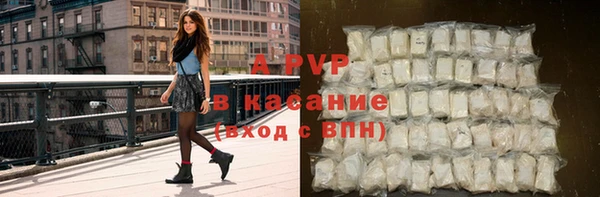 ПСИЛОЦИБИНОВЫЕ ГРИБЫ Богородицк