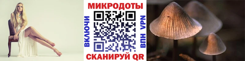 Псилоцибиновые грибы GOLDEN TEACHER  Ефремов 